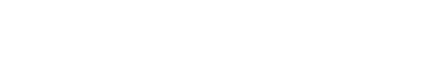 Quantum 800